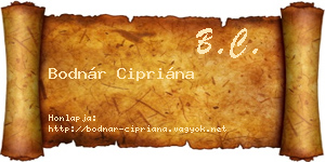 Bodnár Cipriána névjegykártya